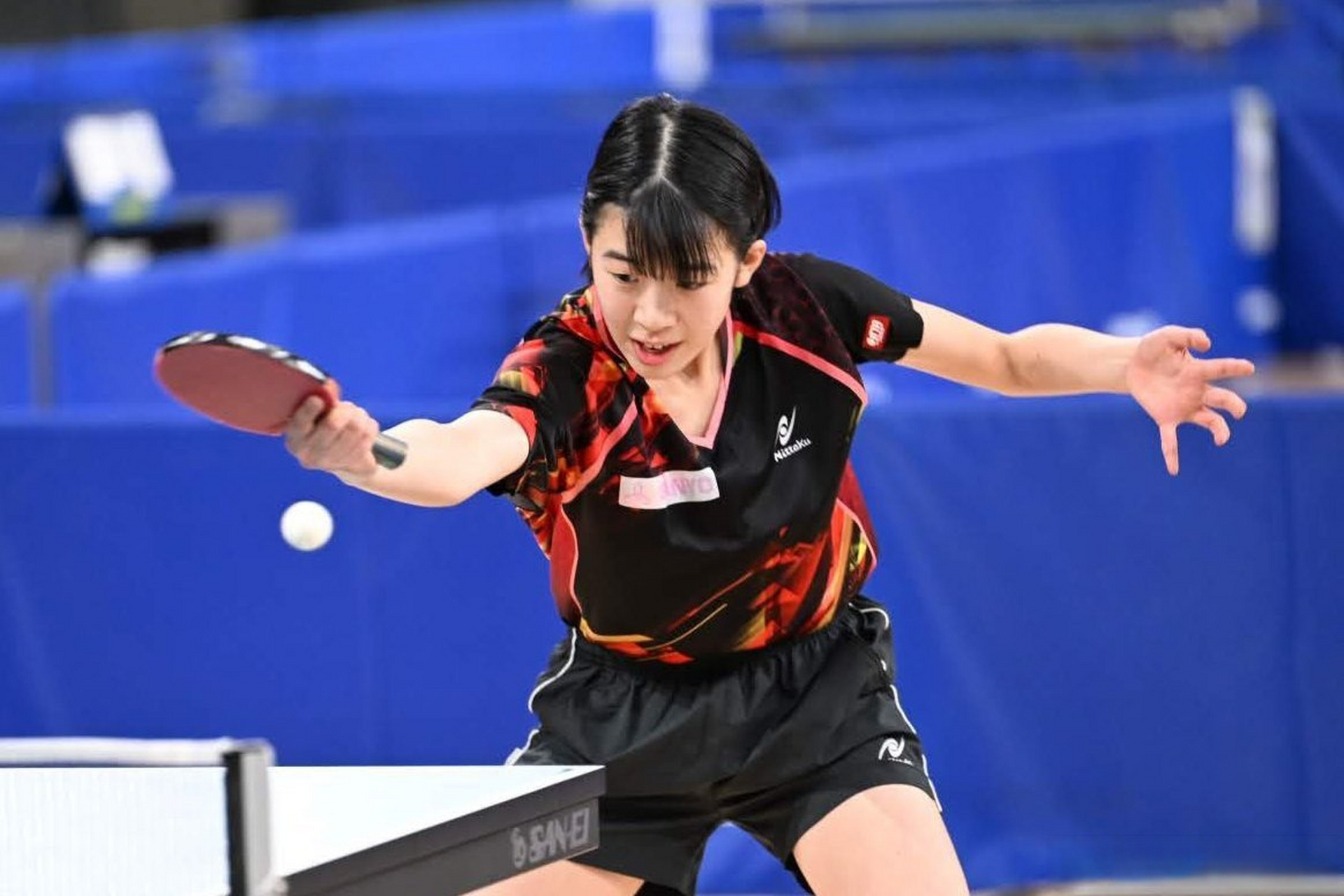 日本乒乓球队完胜法国乒乓球队，波尔绝境逆转的简单介绍