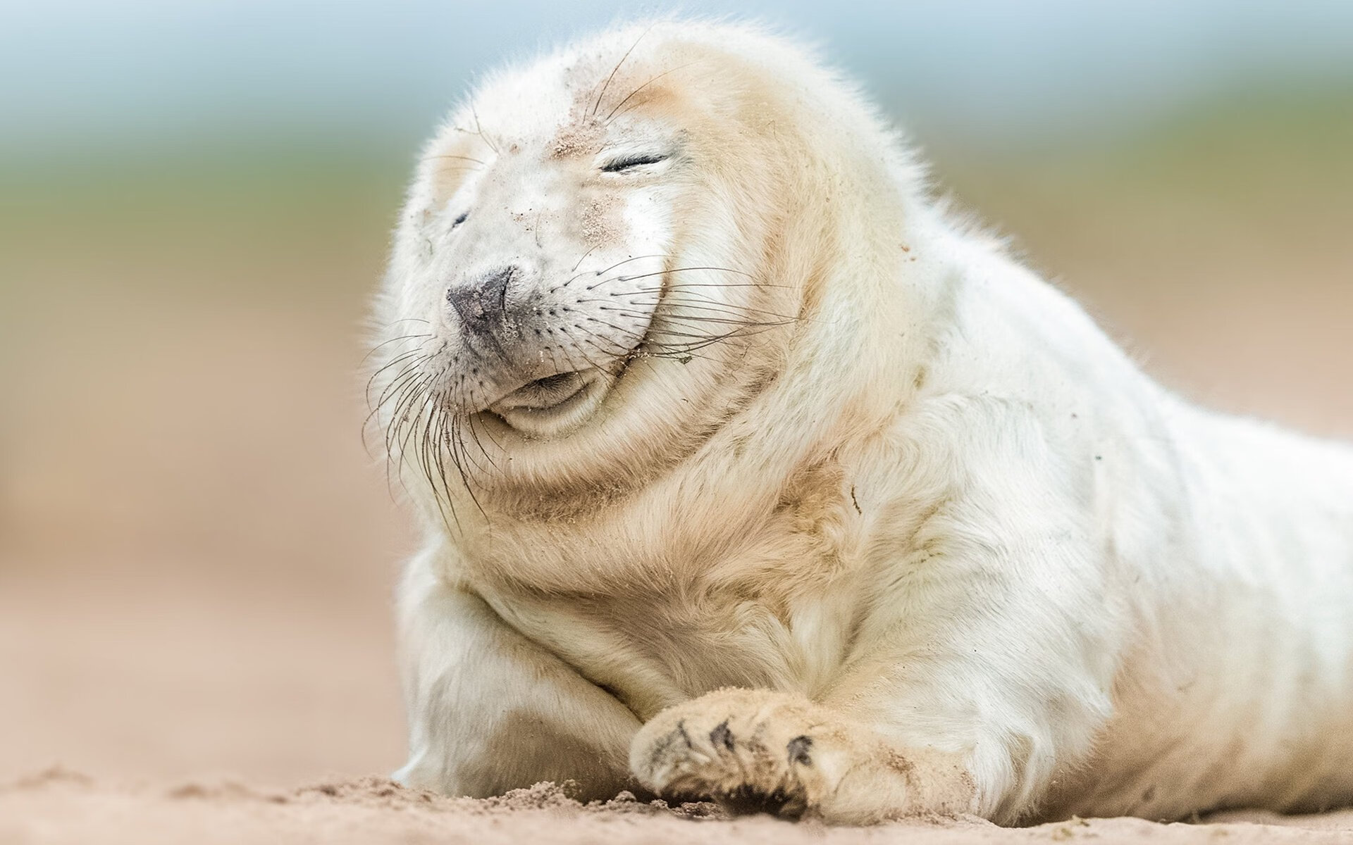 西决生死战之夜,克瓦拉茨赫利亚在焦点战证明自己