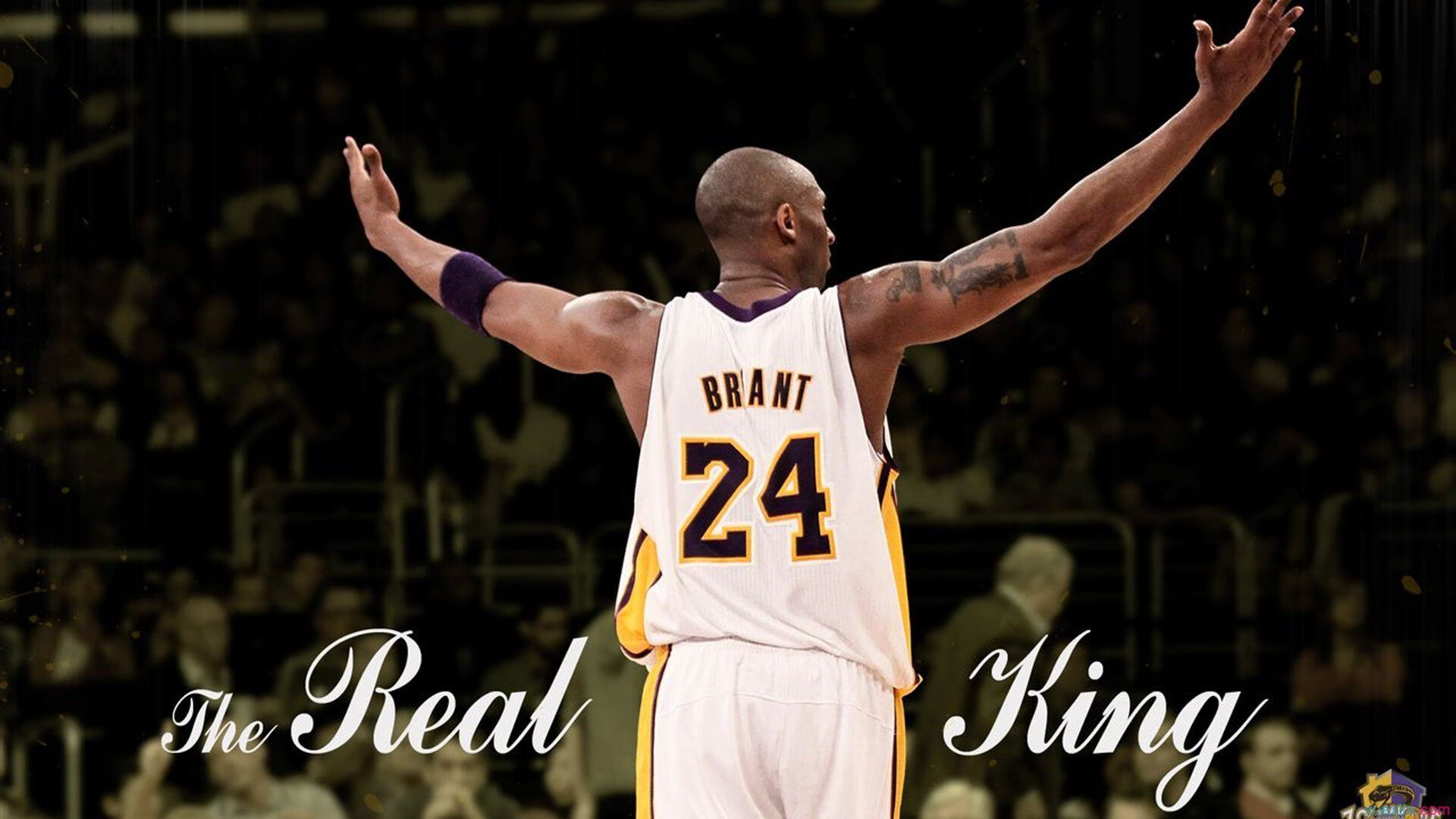 从切特到鹈鹕，数据统治力如何改写季后赛命运